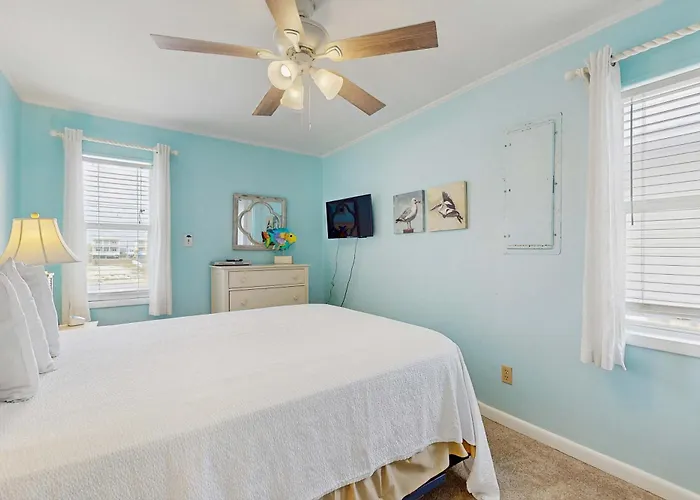 Dog-friendly Beachfront W Gulf Views Spacious Deck Wifi Ac W&d Holiday home *